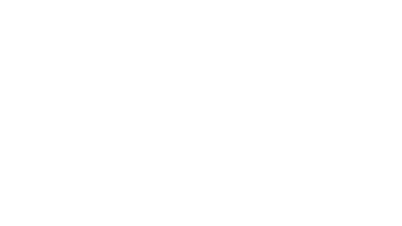 Power Book IV: Force