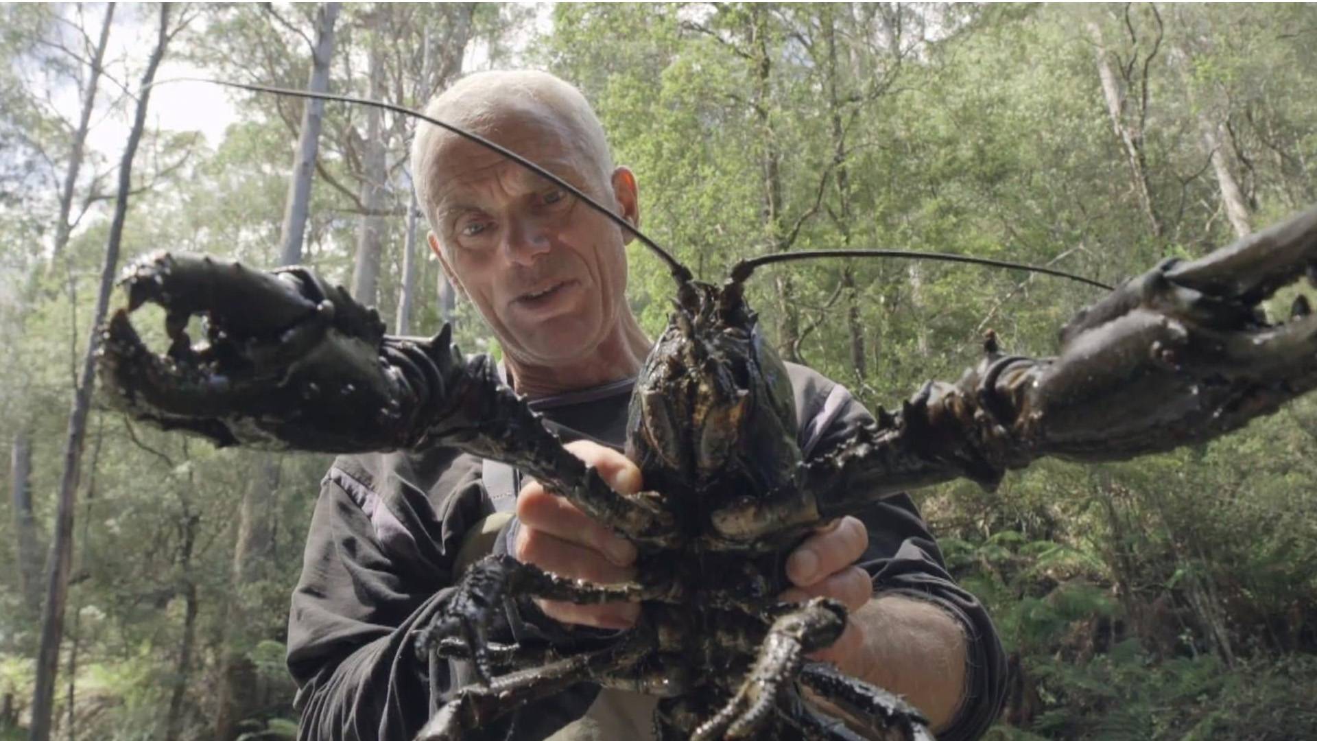 Jeremy Wade: Karanlık Sular S01 B05